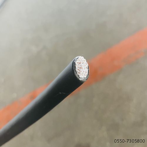 µçÀÂ.77.jpg µçÀÂ.77.jpg