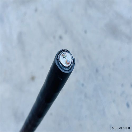 ÌØÖÖµçÀ³§¼Ò209.jpg ÌØÖÖµçÀ³§¼Ò209.jpg