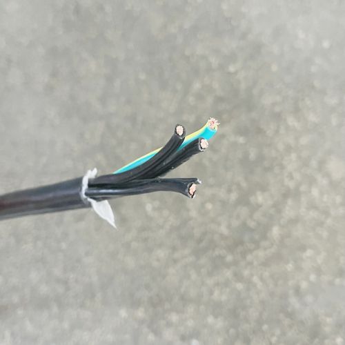 IMG_5420.jpg IMG_5420.jpg