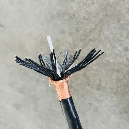 IMG_4990.jpg IMG_4990.jpg