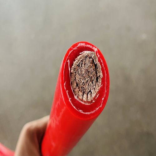 IMG_7206(1).jpg IMG_7206(1).jpg