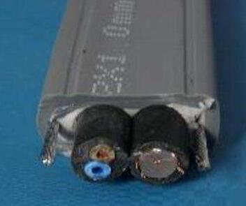 ����max(�й���)���޹�˾����