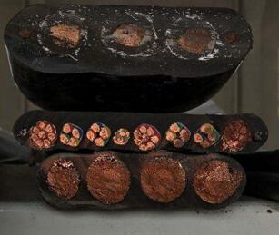 ����max(�й���)���޹�˾����