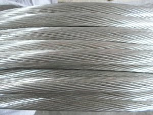 狗万·max(中国游)有限公司官网