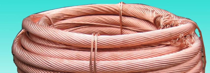 狗万·max(中国游)有限公司官网