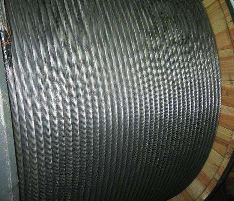 ����max(�й���)���޹�˾����