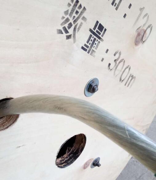 ����max(�й���)���޹�˾����