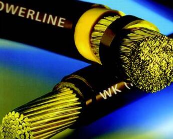 狗万·max(中国游)有限公司官网