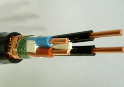 ����max(�й���)���޹�˾����