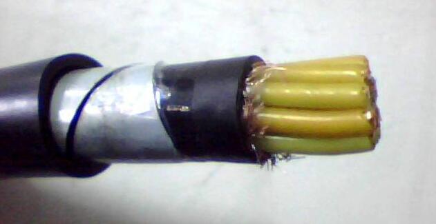 狗万·max(中国游)有限公司官网