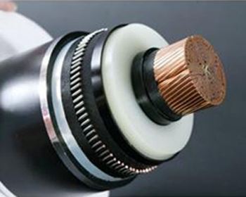 狗万·max(中国游)有限公司官网