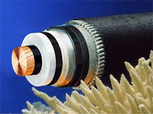 狗万·max(中国游)有限公司官网