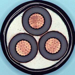 狗万·max(中国游)有限公司官网