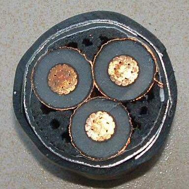 狗万·max(中国游)有限公司官网