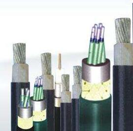 狗万·max(中国游)有限公司官网