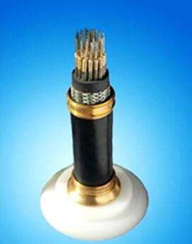 ����max(�й���)���޹�˾����