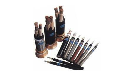 ����max(�й���)���޹�˾����