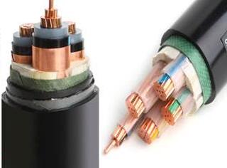 ����max(�й���)���޹�˾����