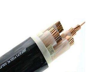 ����max(�й���)���޹�˾����