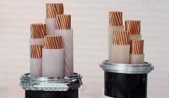 ����max(�й���)���޹�˾����