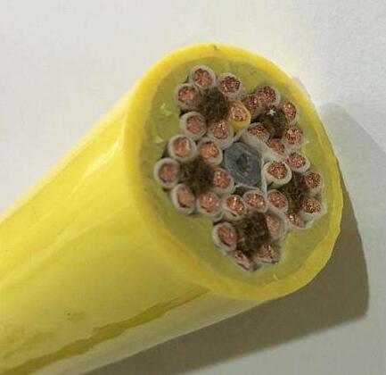 狗万·max(中国游)有限公司官网