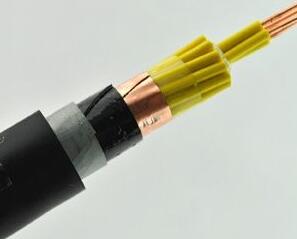 ����max(�й���)���޹�˾����