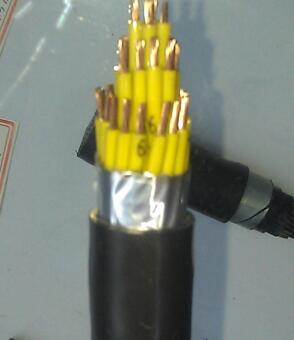 ����max(�й���)���޹�˾����