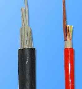 ����max(�й���)���޹�˾����