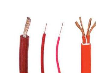 ����max(�й���)���޹�˾����