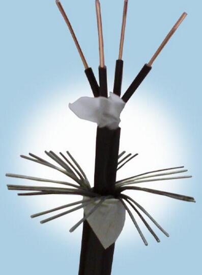 ����max(�й���)���޹�˾����