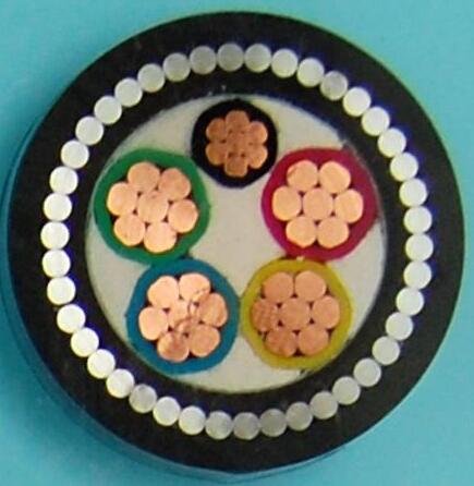 ����max(�й���)���޹�˾����