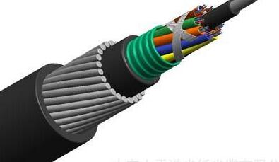 ����max(�й���)���޹�˾����