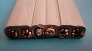 ����max(�й���)���޹�˾����