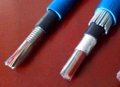 ����max(�й���)���޹�˾����