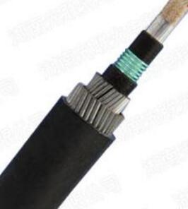 ����max(�й���)���޹�˾����