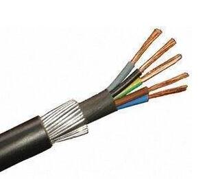 ����max(�й���)���޹�˾����