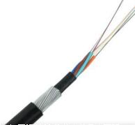 狗万·max(中国游)有限公司官网