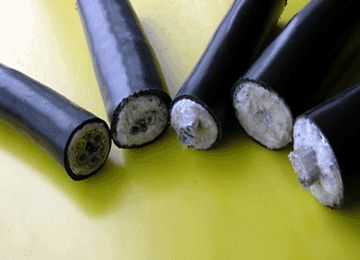 狗万·max(中国游)有限公司官网