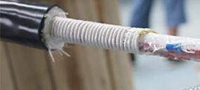 狗万·max(中国游)有限公司官网