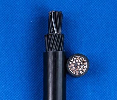 ����max(�й���)���޹�˾����