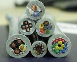 ����max(�й���)���޹�˾����