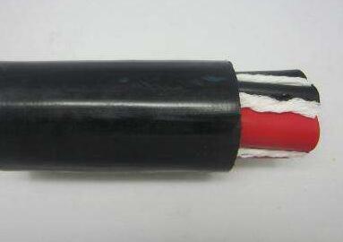 狗万·max(中国游)有限公司官网