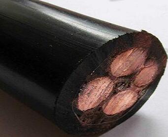 ����max(�й���)���޹�˾����