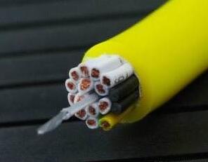 狗万·max(中国游)有限公司官网