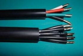 ����max(�й���)���޹�˾����