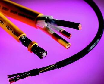 ����max(�й���)���޹�˾����