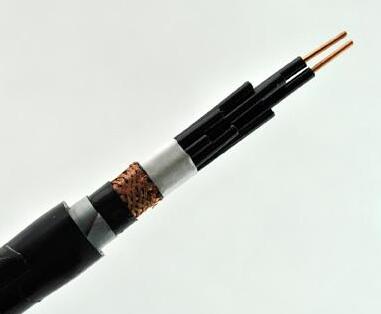 ����max(�й���)���޹�˾����