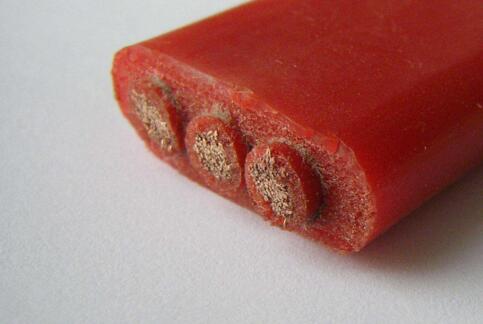 ����max(�й���)���޹�˾����