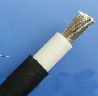 ����max(�й���)���޹�˾����