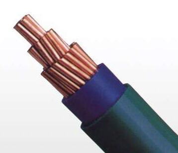 ����max(�й���)���޹�˾����